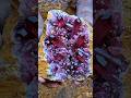 ruby gemstones #diamond #gemstones #mining #gold #diamond #jade #agate