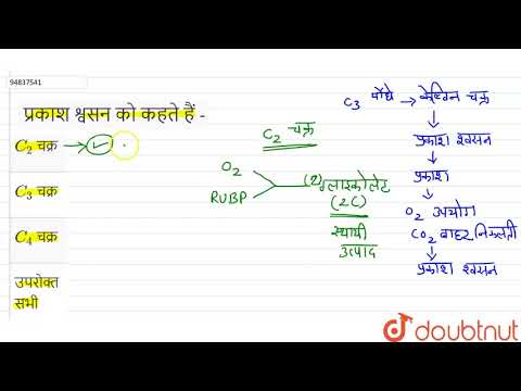 वीडियो: क्या प्रकाश श्वसन एक उपापचयी अवशेष है?