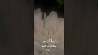 فقلت استغفروا ربكم إنه كان غفارا|| الشيخ ياسر الدوسري|| #quran