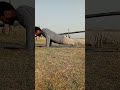 push ups workout #shorts