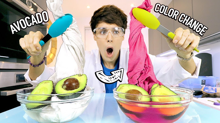 i tested SCIENCE EXPERIMENTS using food items 2