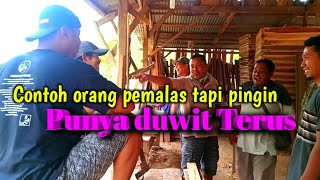 Film pendek lucu jawa || preman apes sedunia