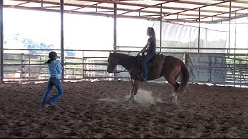 Valley View Ranch - Colonels Katman - cutting Alexis  ***For info, price, etc., go to our website***