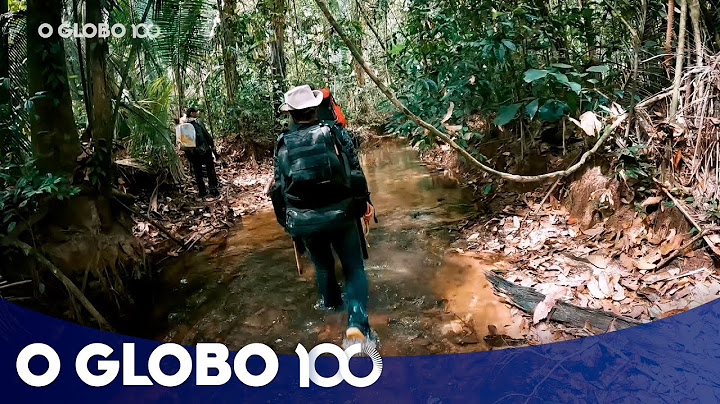 Terra Kawahiva: expedição na Amazônia confirma presença de indígenas isolados