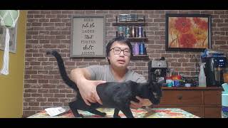Wychwood Hobgoblin Legendary Ruby Beer Review - Ep. #3276