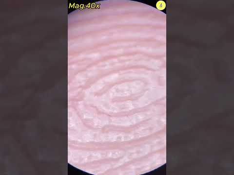 Hand Under Microscope | TULO - Microscope #shorts #microscope #hand #underthemicroscope #bacteria