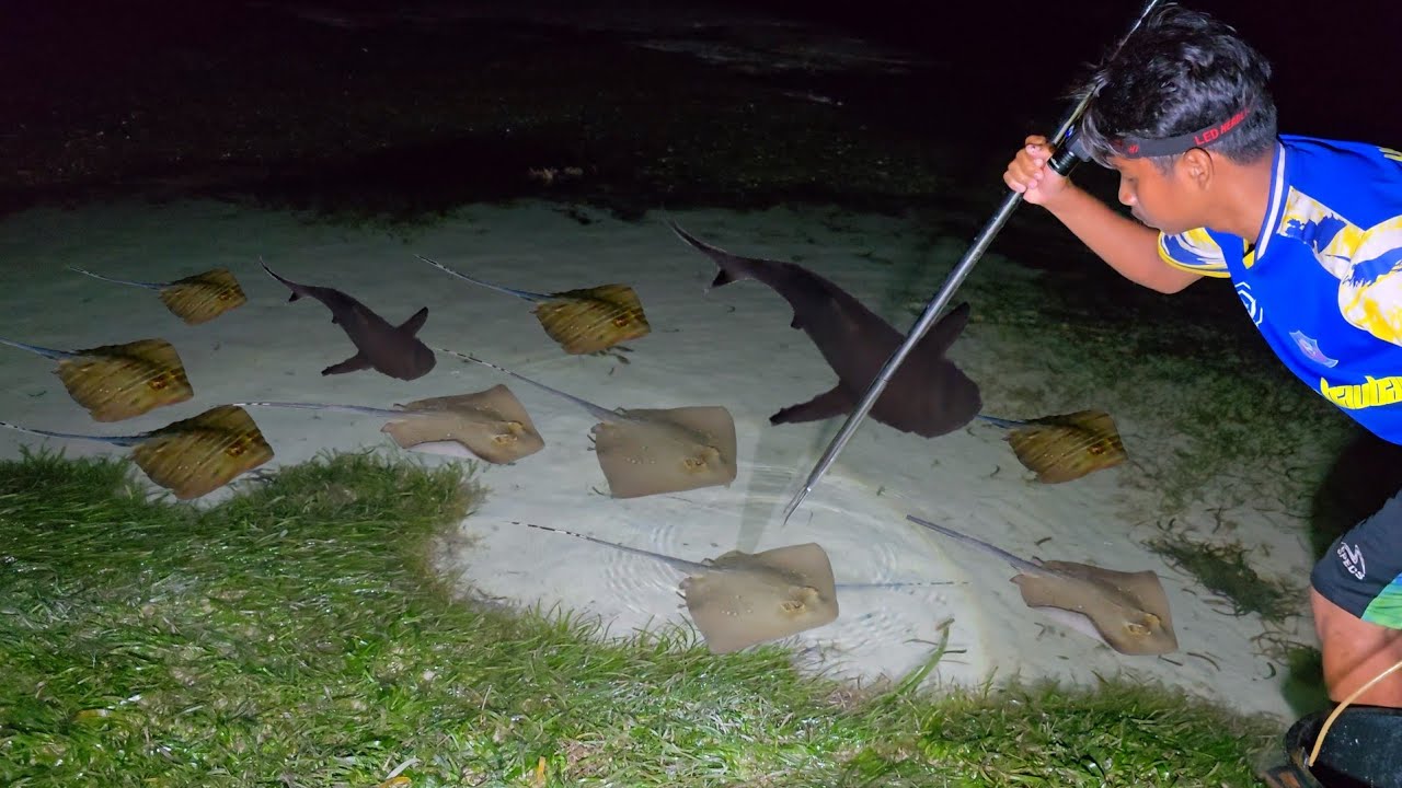 Hari Ke.31 Detik-detik IKAN BERB4H4Y4 DITANGKAP GUNAKAN TANGAN KOSONG, Camp Fishing