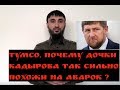 Почему ДОЧЕРИ КАДЫРОВА похожи на АВАРОК ?Что это значит ?/Тумсо Абдурахманов