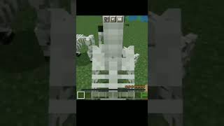 FACTS About Minecraft Skeleton Horse #minecraft