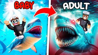 Evolving A Baby Megalodon In Dinosaur Simulator