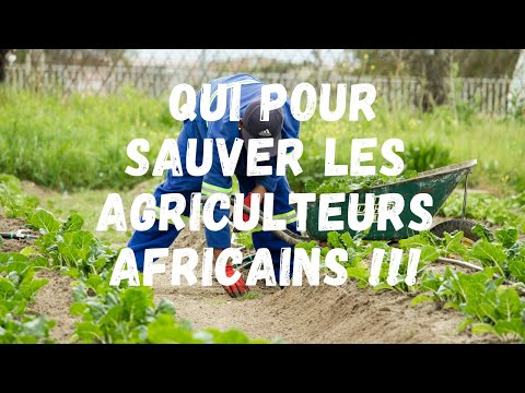 Vidéo: La Bachkirie A L'intention D'augmenter Le Volume De Transformation Des Produits Agricoles