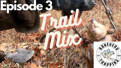 Trapping Furbearers In PA (And Some Hunting) 2021-2022/ Ep.03 S.01