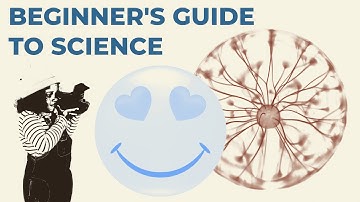 The ultimate beginner