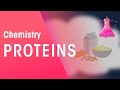 Proteins | Organic Chemistry | Chemistry | FuseSchool