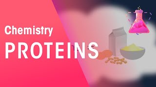 Proteins | Organic Chemistry | Chemistry | FuseSchool