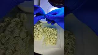 Micro Scoops Animal -Thousander