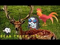 Bear Creek Park Joo | Houston Texas Bear creek Joo | Bear creek joo |