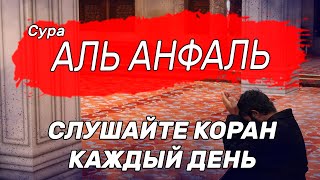 Сура Аль Анфаль - слушайте очень красивое чтение корана. изумительное чтение корана