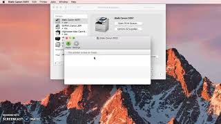 Mac Users: Find Your Canon Printer Driver Version