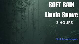 Soft Rain Baby Sleep 3 Hours | Lluvia suave para bebés 3 horas - Still Soundscapes screenshot 3