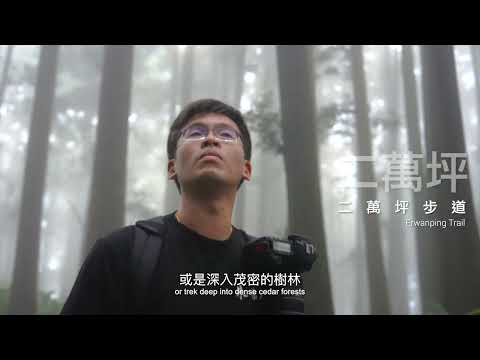 無盡驚喜：探索台灣阿里山的神奇之旅-5分鐘中英字幕