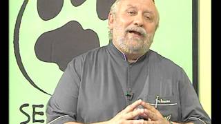 Dr. Romero saluda a los 6.000 seguidores en Facebook