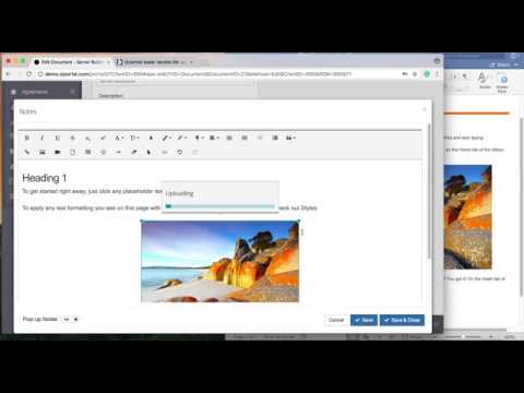 Portal WYSIWYG Editor