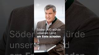 Söder: AfD würde unserem Land am Ende schaden | ZDF-Sommerinterview