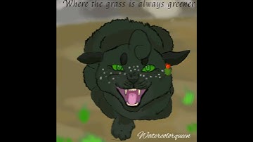 I know a place ○Hollyleaf Pmv○