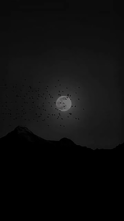Novacaine Sad song edit #songs #sadsong