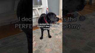 Sleeping Beauty said WHAT?! 😳