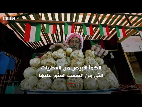 هل تعرف ما هي المأكولات الأغلى ثمنا في العالم