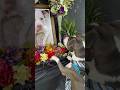 Dog mourns the loss of his best friend at memorial service 
