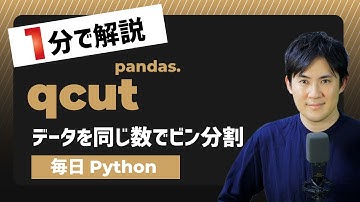 【毎日Python】Pythonでデータを同じ数でビン分割する方法｜pandas.qcut
