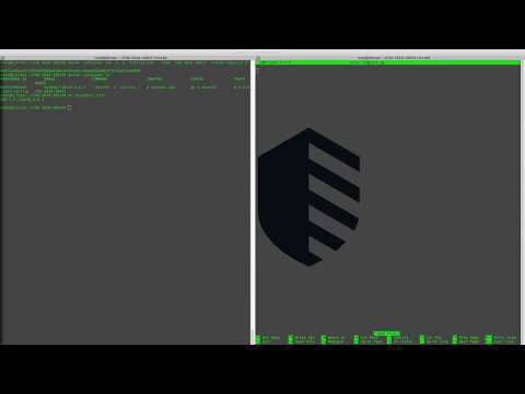 #1 LibSSH - CVE-2018-10933