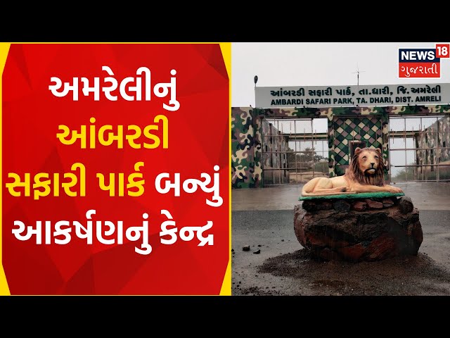 Amreli News : Ambardi Safari Park has become a center of attraction Safari Park | Dhari | Gujarati Samachar class=