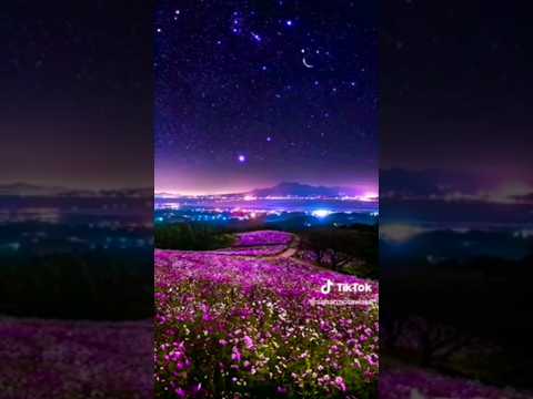 Tik Tok Music Triste Et Love