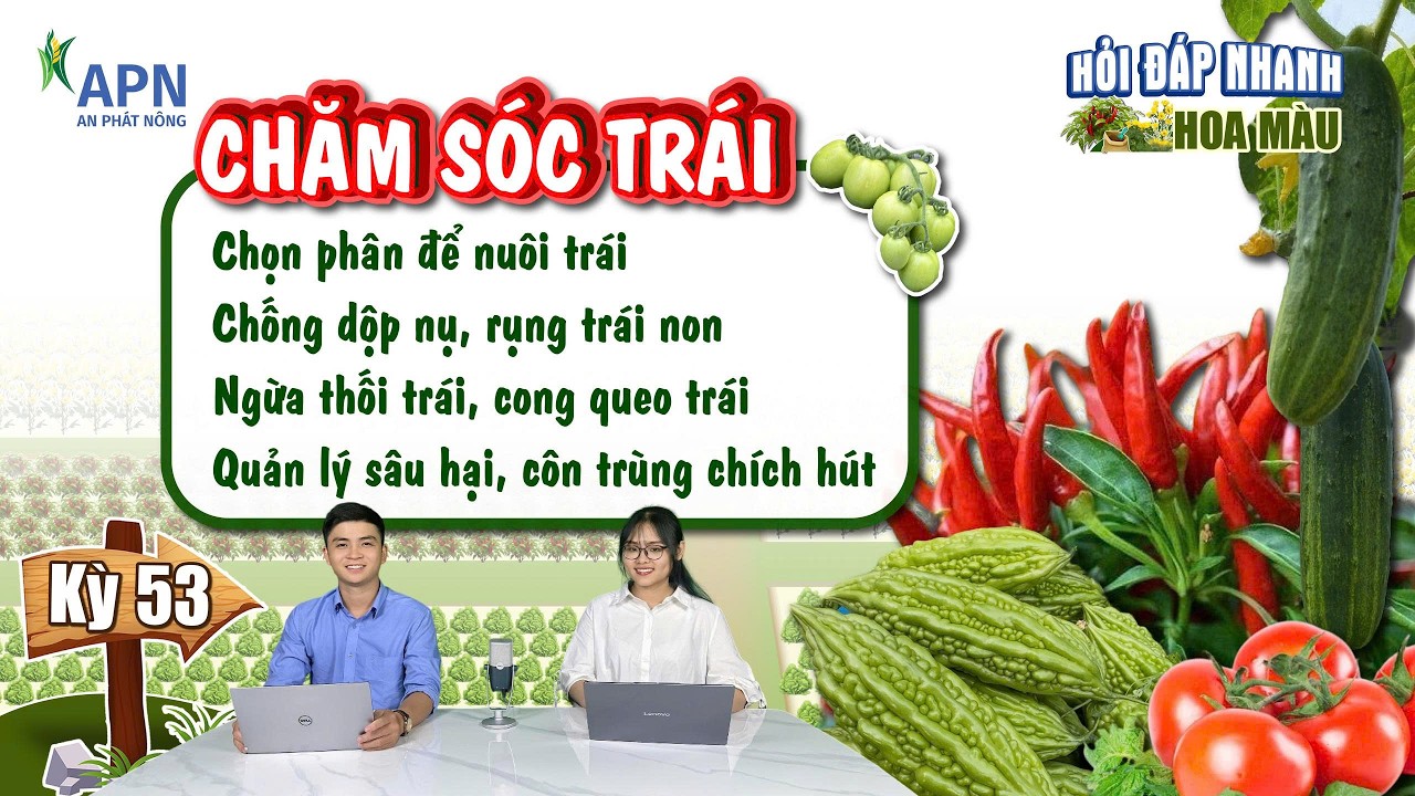 APN - BÓN PHÂN NUÔI TRÁI, TĂNG ĐẬU TRÁI, CHỐNG DỘP NỤ, QUẢN LÝ SÂU BỆNH HẠI