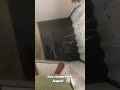 Vou Compra Um Jequiti