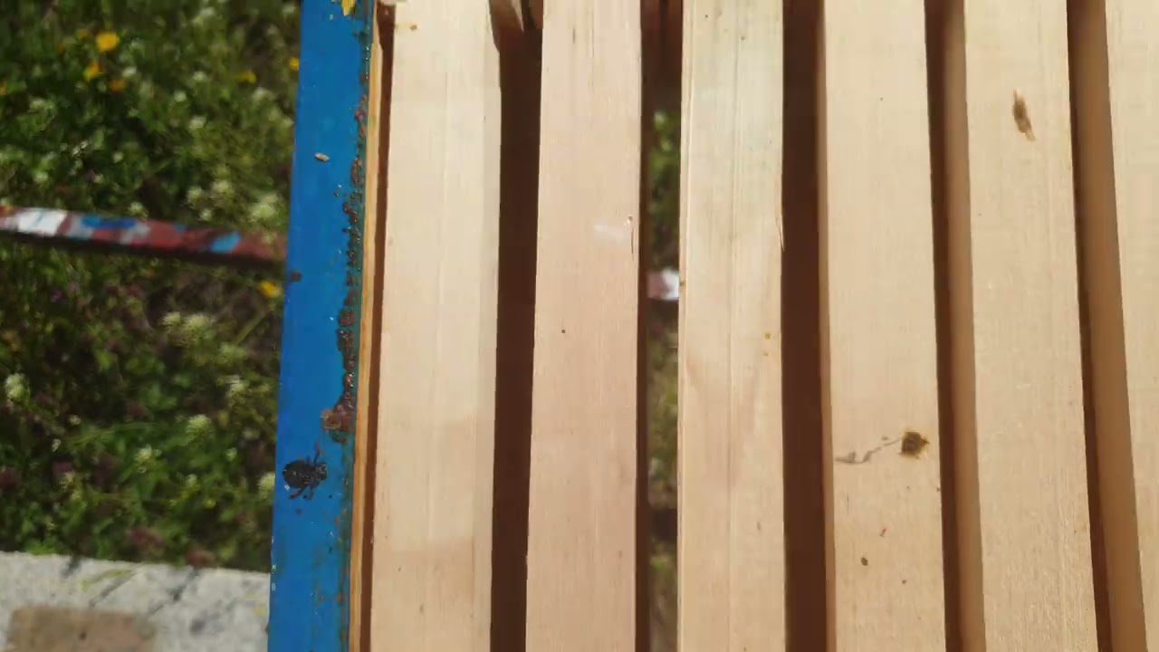 Radovi na pcelinjaku u mesecu aprilu Works on the apiary in April