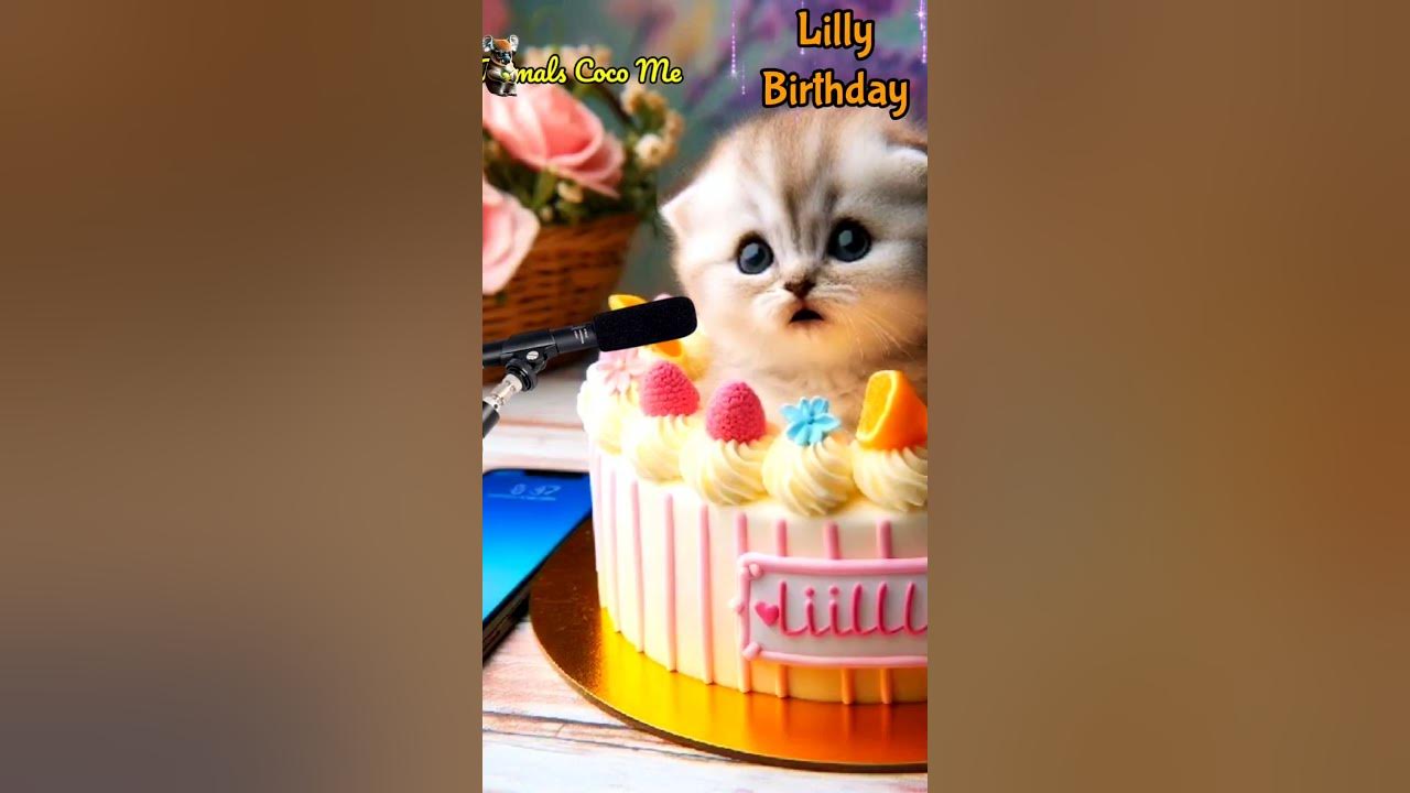 HAPPY BIRTHDAY LILLY | HAPPY BIRTHDAY SONG WITH NAMES | Adorable Cute Cat 😺  #happybirthday #cat