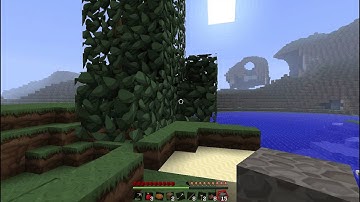 Minecraft Render Bug