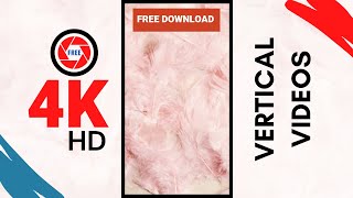 Beautiful flatlay of soft pink feathers | Art and Beauty Footage |FREE non-copyright vertical videos screenshot 4