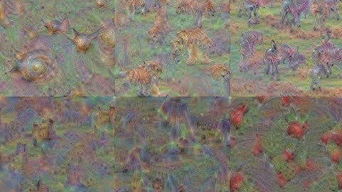Using deep dream and activation outputs to understand CNN