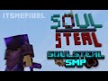 How i applied for the most ruthless minecraft smpsoulsteal smp