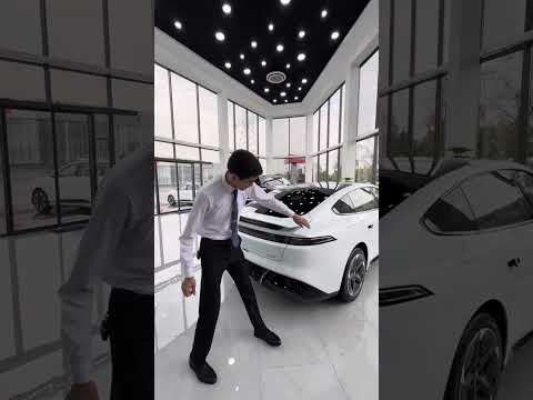 Dongfeng ep 007