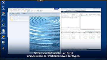 Robotics Process Automation (RPA): Der Roboter bei der Arbeit (Demo)