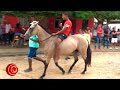  horse racing  carreras de caballos  las piedras bolvar colombia 11 septiembre 2022