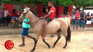 🏁 Horse Racing / Carreras de caballos 🏇🏇 Las Piedras Bolívar, Colombia 11 septiembre 2022