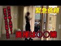 【緊急依頼】沢山の嘘と裏切り…奥様は〇〇嬢だった？！調査で掴んだ衝撃の真実